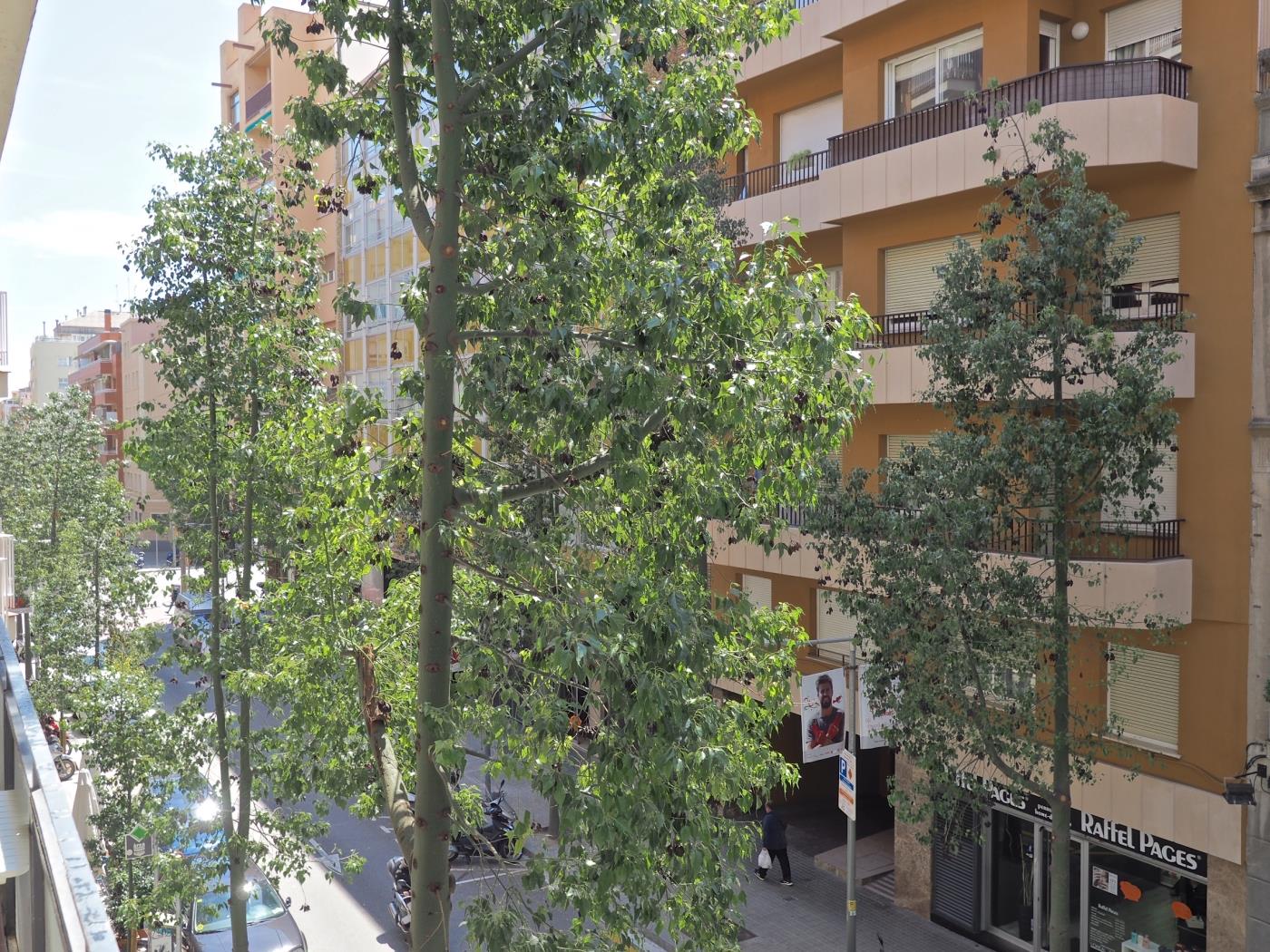 Appartement pour exécutif à Les Corts près du Camp Nou pour 5 - My Space Barcelona Appartements