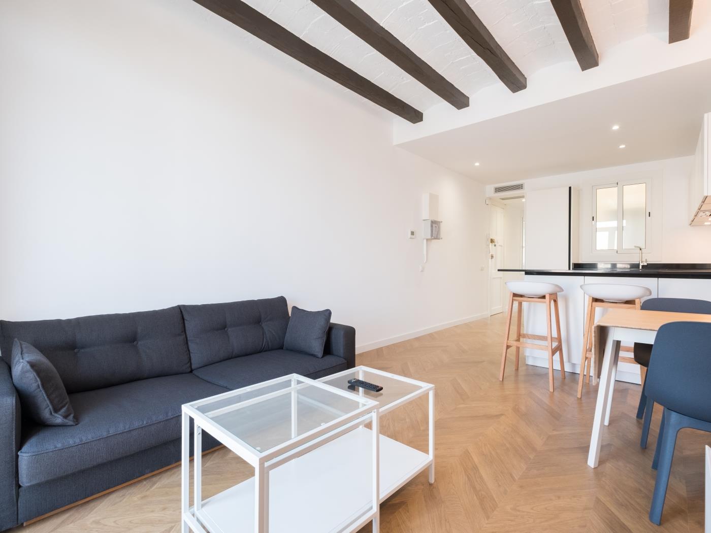 Appartement lumineux 2 ch. à la Barceloneta - My Space Barcelona Appartements