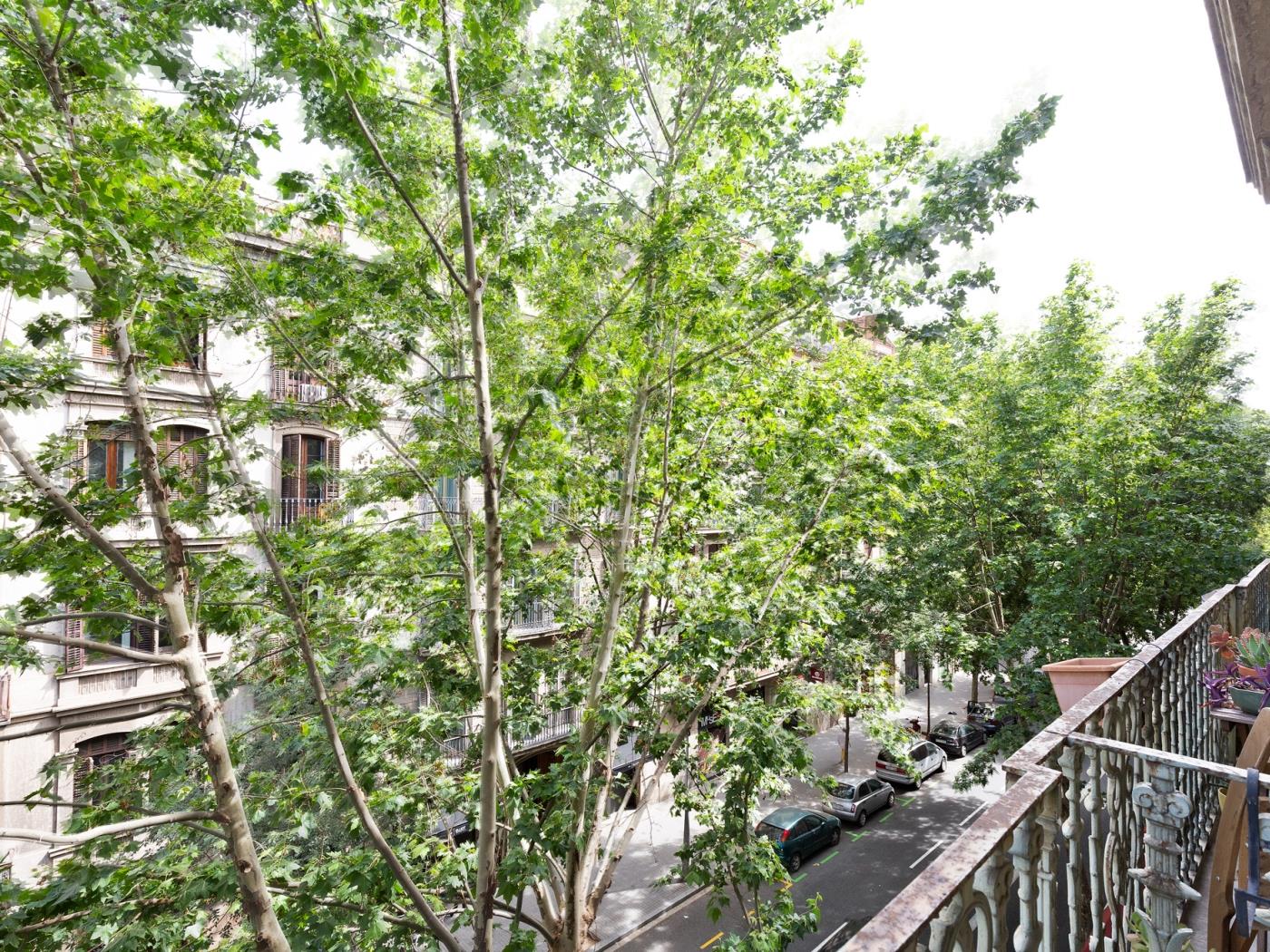 Votre séjour parfait au cœur de la ville - My Space Barcelona Appartements